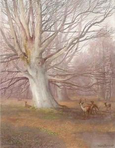 Deer in a beech wood by Sydney Herbert