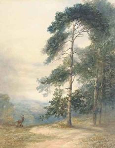 A stag and his herd scenting a disturbance