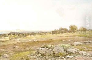 Near Winchester, Hampshire