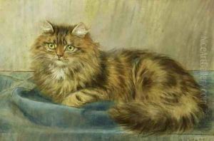 Persian Cat by Maud D. Heaps