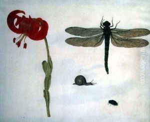 Study of a red tiger lily a snail a beetle and a dragonfly by Herman Henstenburgh