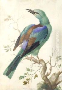 Roller on a branch by Herman Henstenburgh