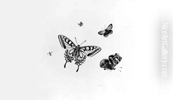 Studies of four Butterflies and an Insect - view 1