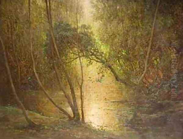 Woodland Waters - view 1