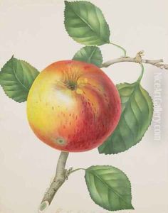 An Apple