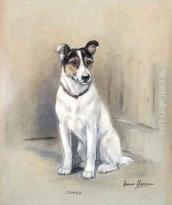 James, a Jack Russell Terrier