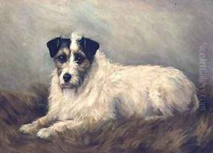Terrier