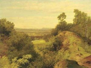 Rabbits in an extensive landscape