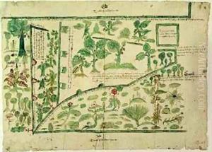 Map Showing Part of the Manor of Shawe Berkshire England