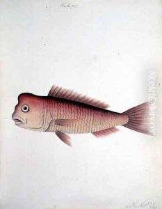 Wo po my Snapper by John Hunter