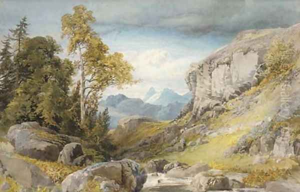 A Welsh mountain stream - view 1