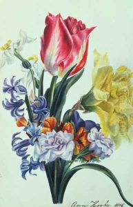 Spring Flowers by Anne Hooke