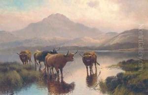 Highland cattle, Loch Ness by Henry R. Hall