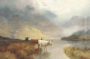 Children of the mist