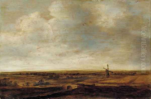 An extensive landscape with a windmill - view 1