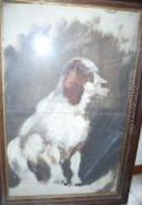 Chien.
