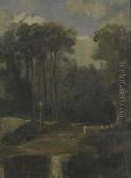 Chemin En Foret. - view 1