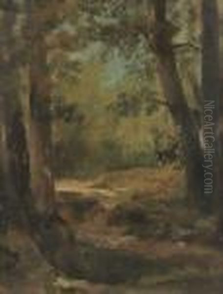 Sous Bois. - view 1