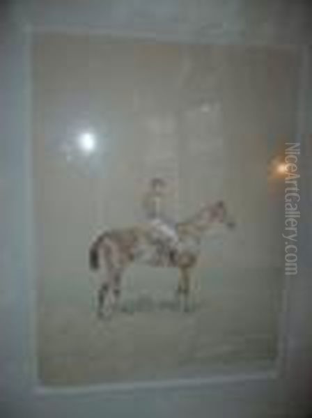 Jockey. - view 1