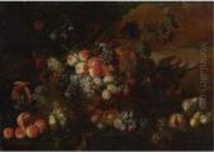 Still Life Of Fruit by Abraham Brueghel