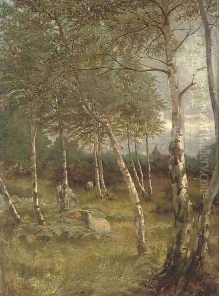 Sheep grazing among silver birch trees - view 1