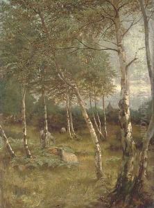 Sheep grazing among silver birch trees
