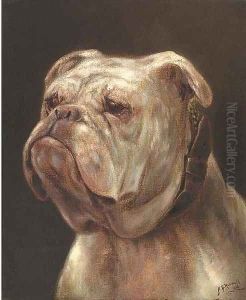The head of a bulldog The head of a bulldog