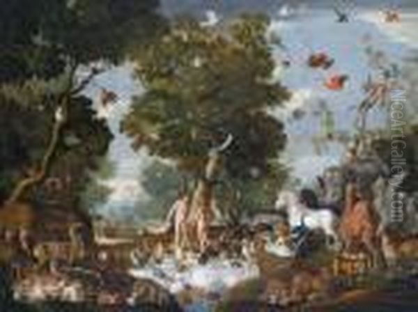 Immagine Del Paradiso - view 1