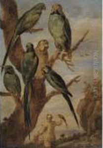 A Study Of Parrots In A Tree by Jan Brueghel the Younger