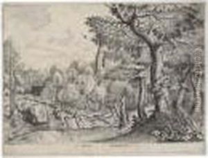 Pagus Nemorosus Pagus Nemorosus