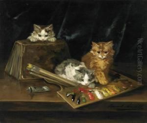 Three Cats With A Colour Palette Three Cats With A Colour Palette