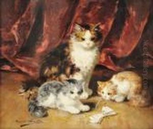Chatte Et Deux Chatons Jouant Avec Un Ruban Devant Une Draperierouge