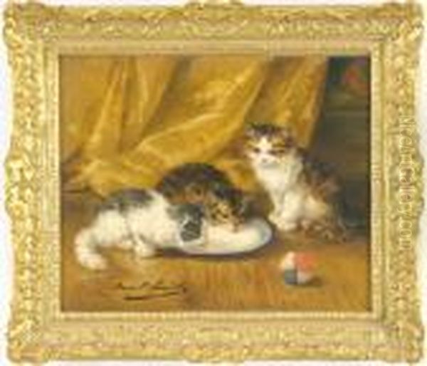 Interno Con Gatti - view 1