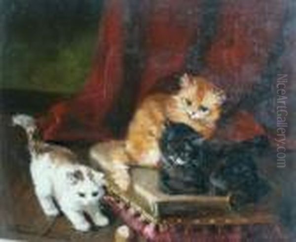 Playful Kittens - view 1