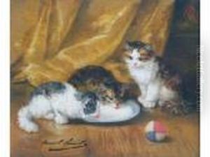 Trois Jeunes Chats Alassiette De Lait