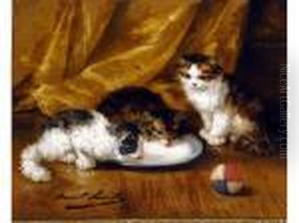 3 Chatons Huile Sur Toilesignee En Bas A Gauche 38 X 46 - view 1