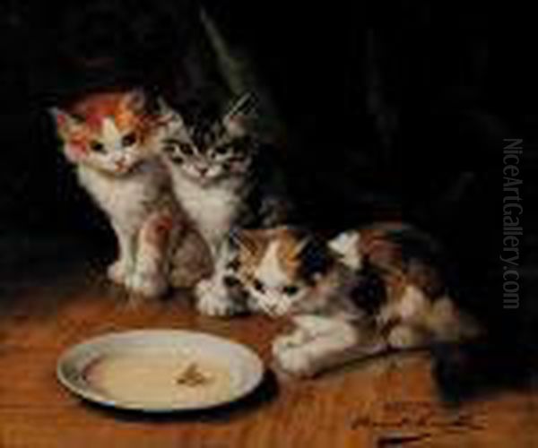 Untitled - Kittens Drinking Milk - view 1