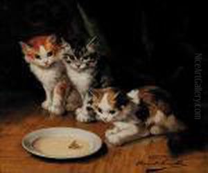 Untitled - Kittens Drinking Milk