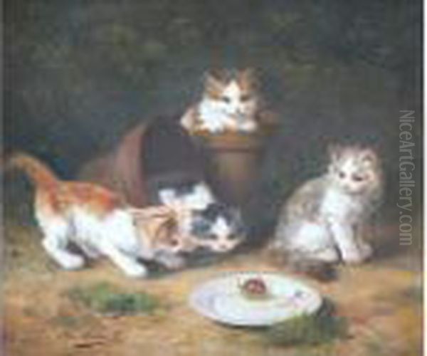 Chatons Observant Un Escargot - view 1