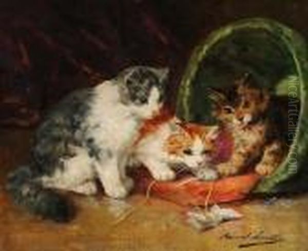 Kittens At Play - view 1