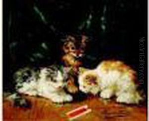 Les Chatons Les Chatons