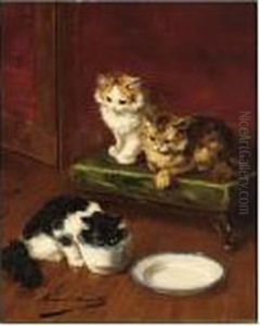 Kittens Drinking Milk