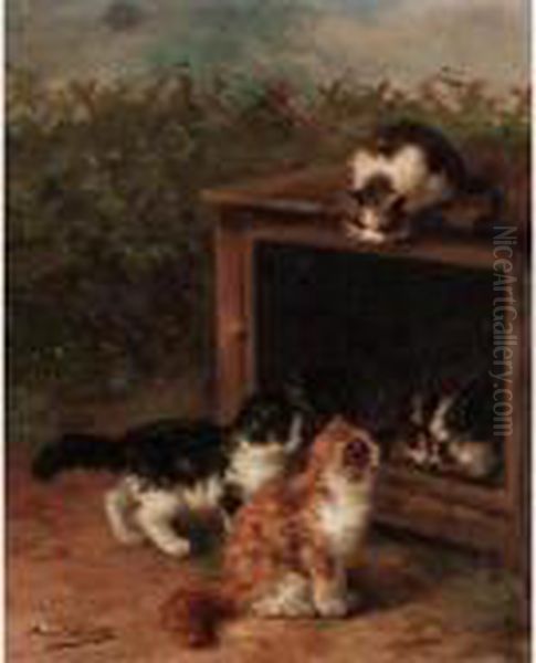 Naughty Kittens - view 1