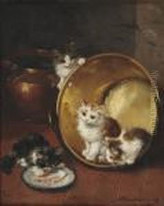Chatons Jouant Dans Les Casseroles En Cuivre