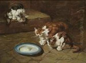 Time For Milk Time For Milk