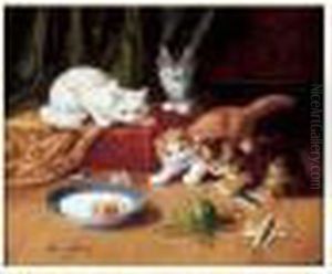Chatons Jouant Chatons Jouant