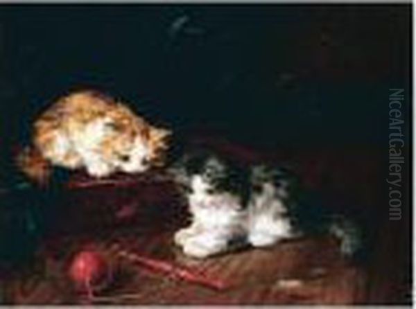 Kittens Playing - view 1