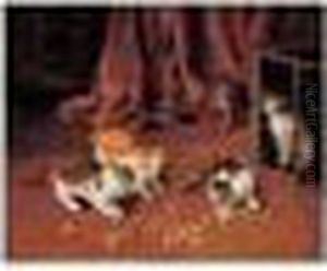 chatons chatons