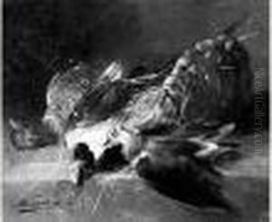 Nature Morte Aux Volatiles. Nature Morte Aux Volatiles.