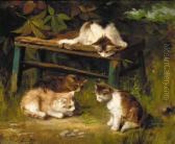 Kittens Playing With A Grasshopper - view 1